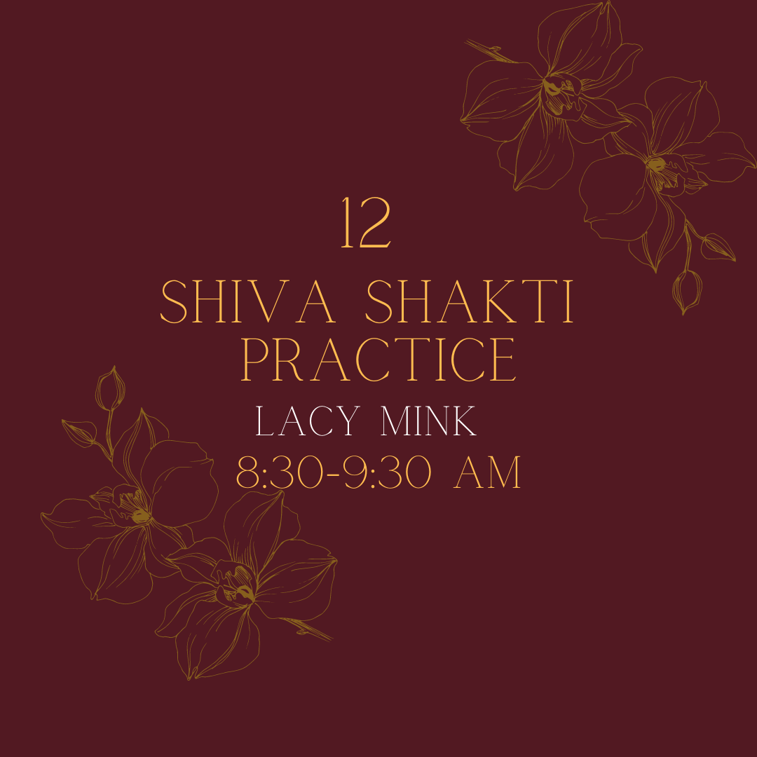 Day 12 Movement &amp; Meditation with Lacy Mink