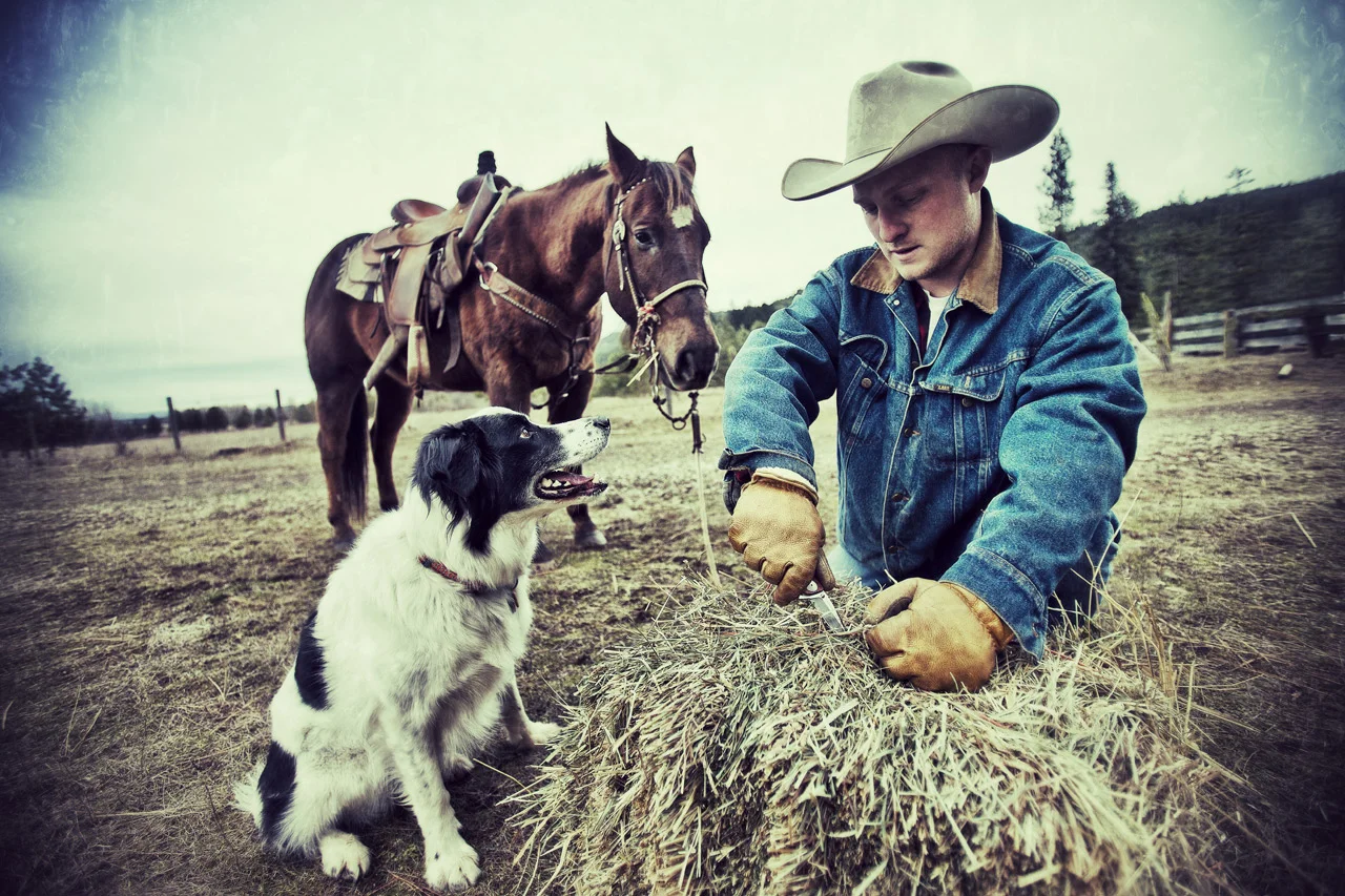 AR5Q8673A2 copy 2.jpg