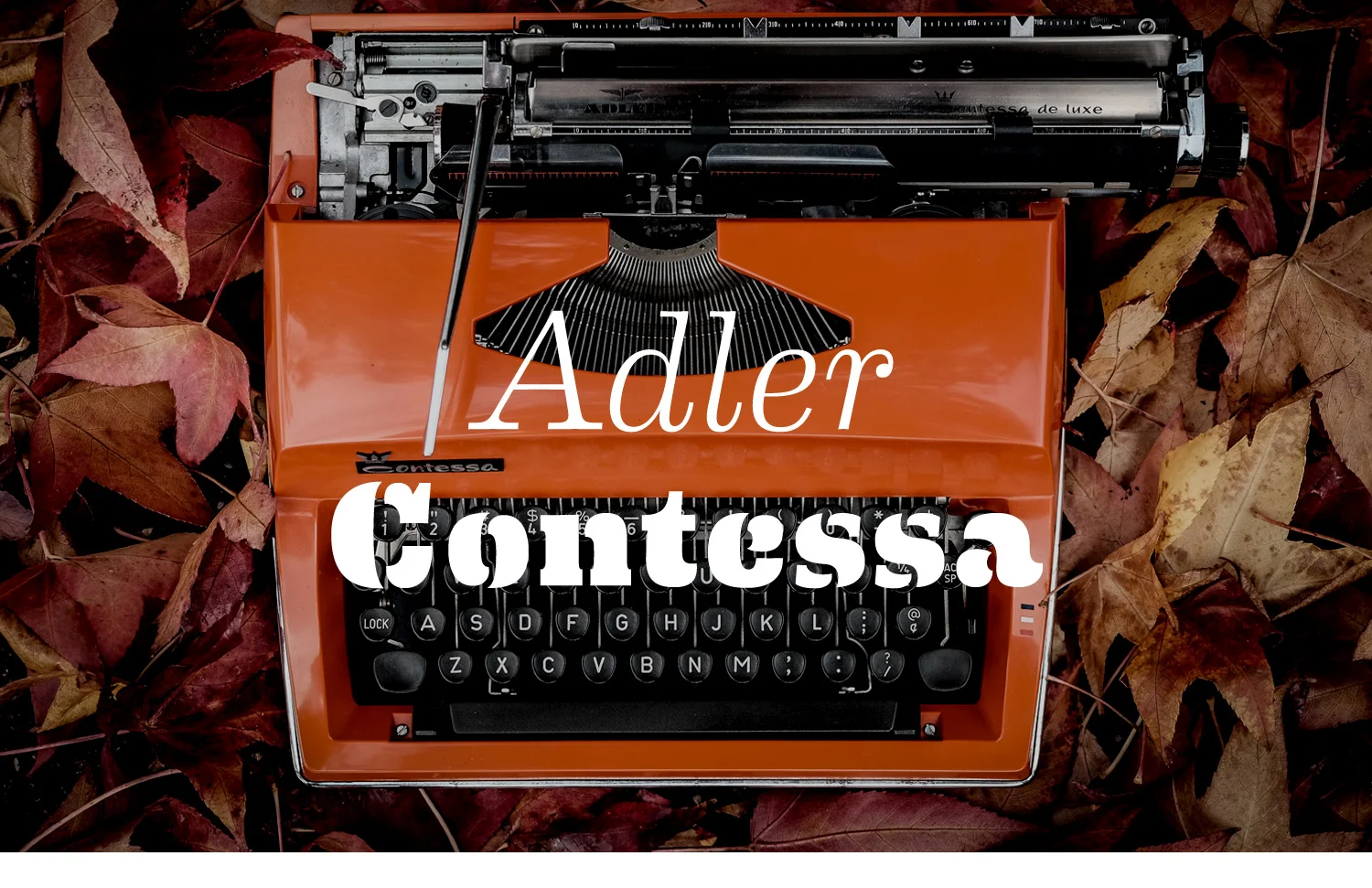 adler-contessa.jpg