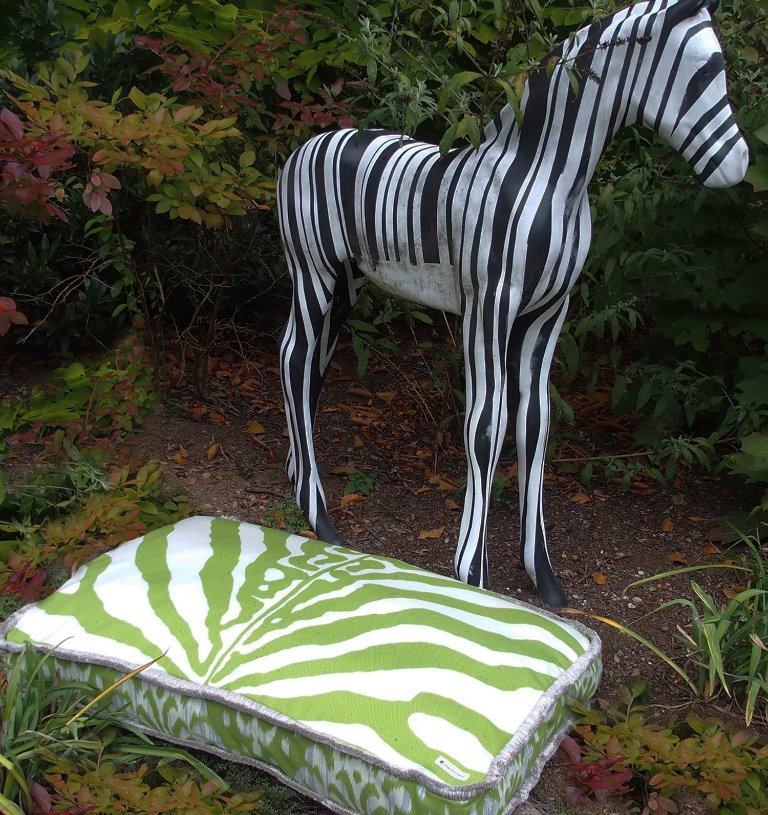 zebrazebra.jpg