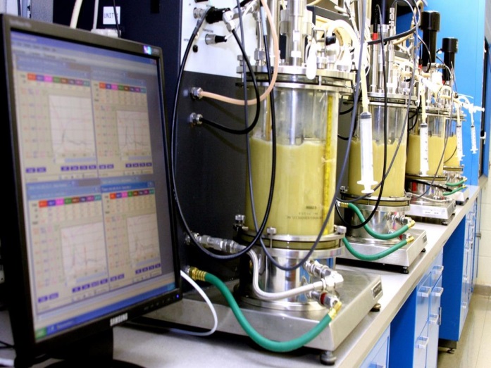 AlgiSys did its proof of concept work in concert with Michigan Biotechnology Institute (MBI)