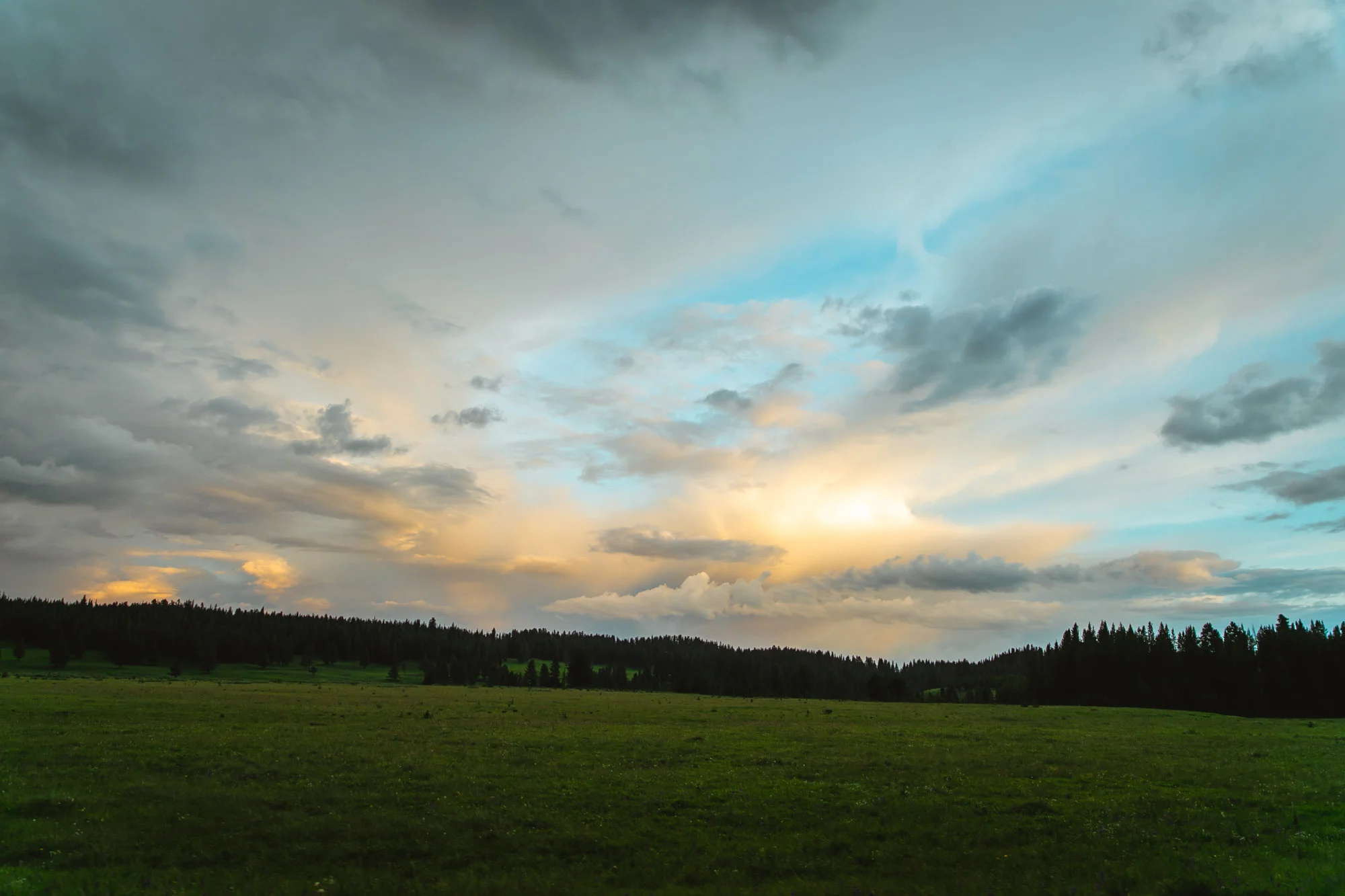 736A9760.jpg