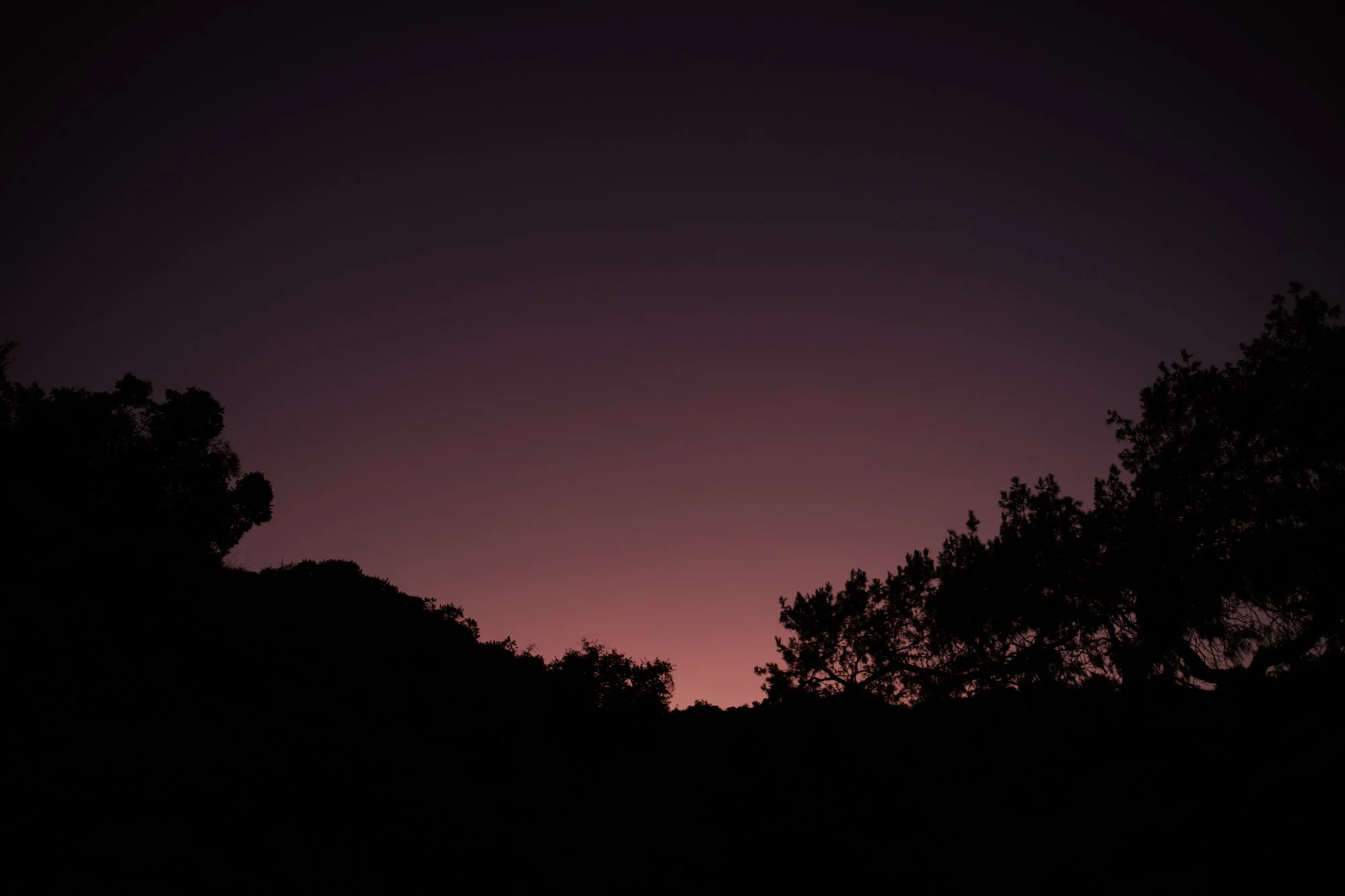736A6320.jpg