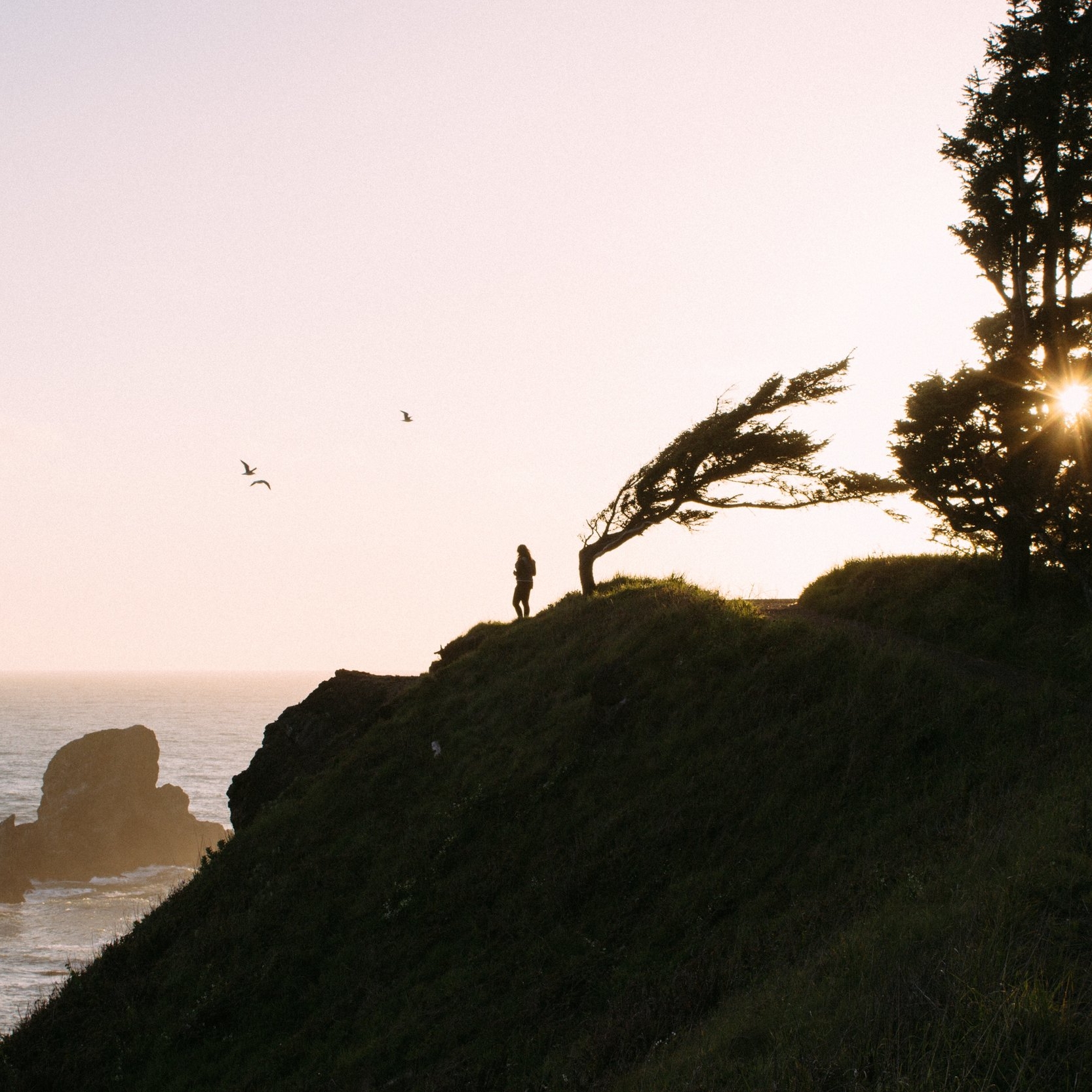 Movement as a relationship to your environment