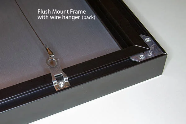 Flush Mount Back-001.jpg
