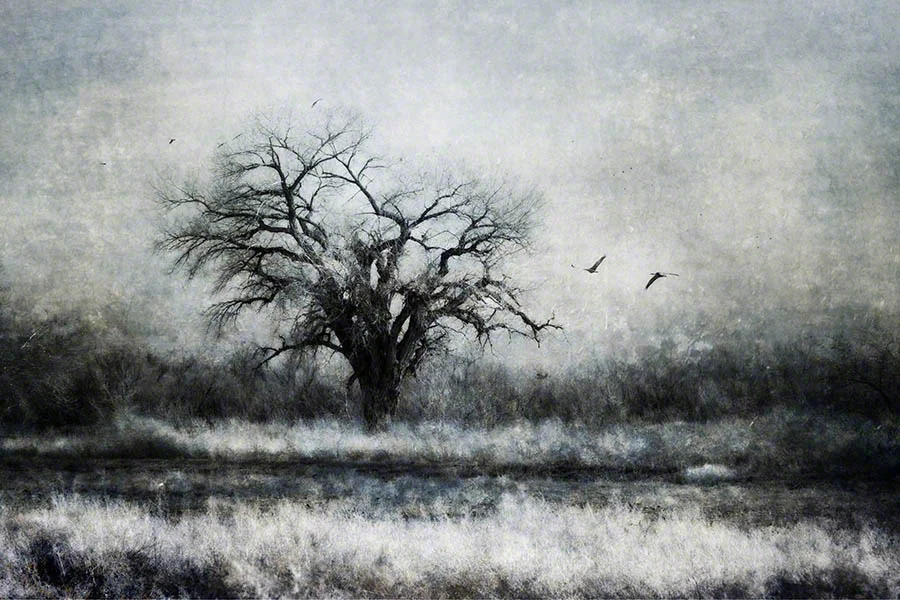 ‘Days Like This’. Textured photograph.