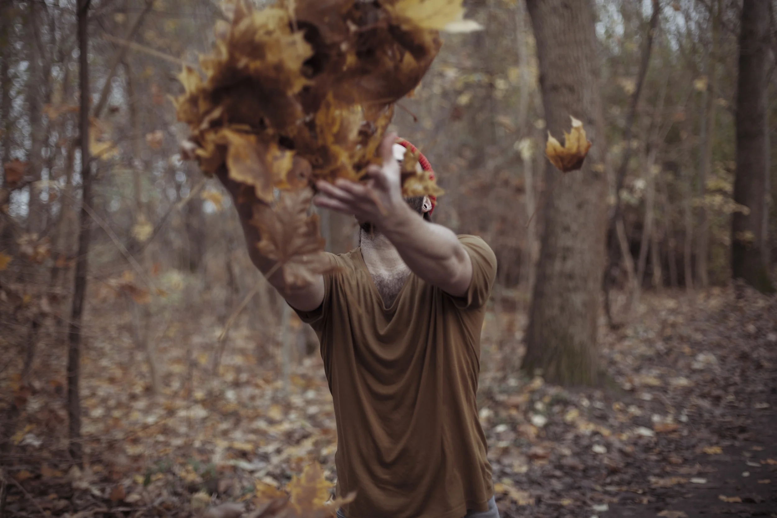02_autumn-chris-by-sven-serkis-2014.jpg