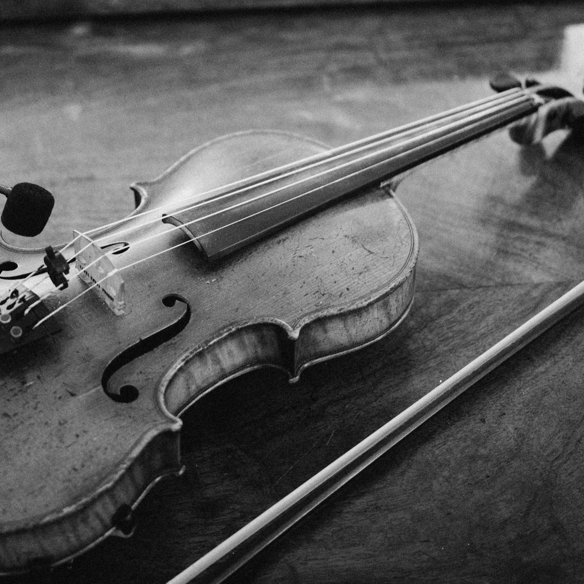 Black and white image of a fiddle