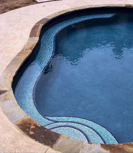 Pool Steps and Bench