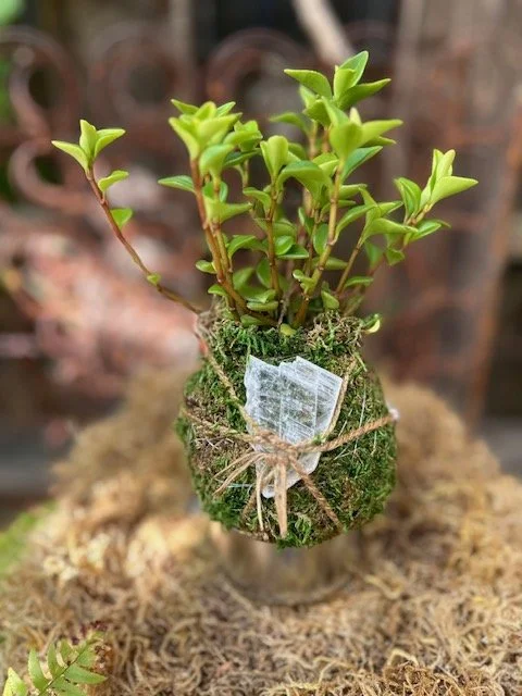 Fall Equinox Tabletop Moss Ball with Crystal