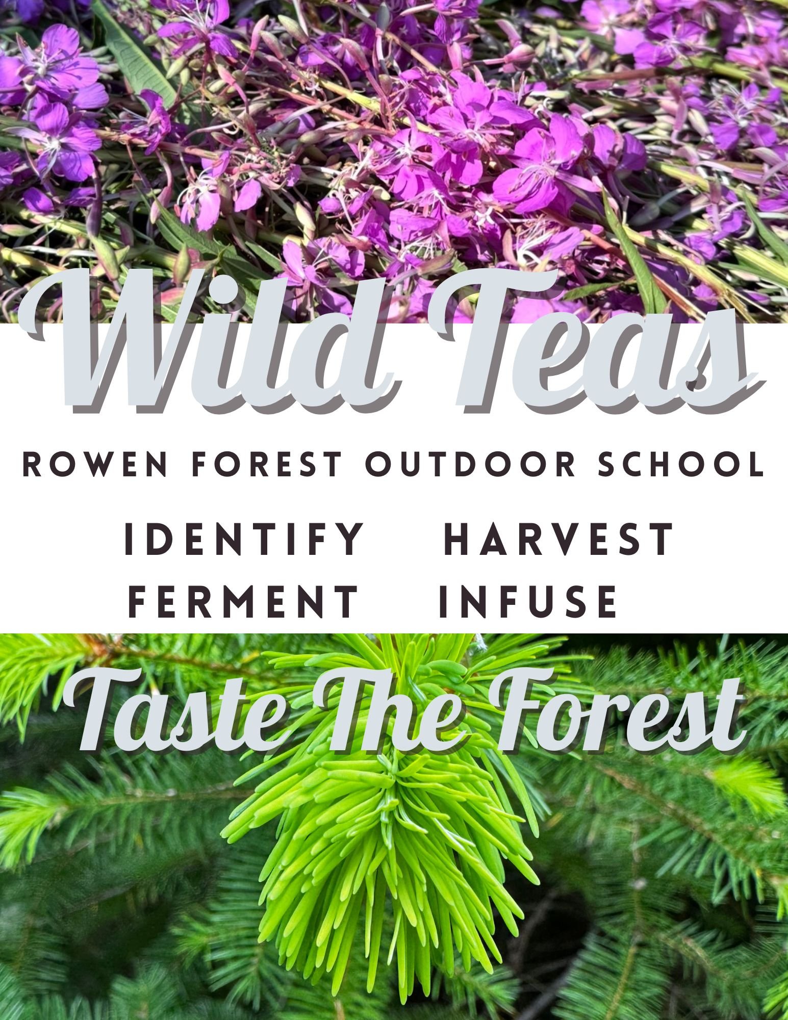 Copy of International Tea Day (Flyer).jpeg
