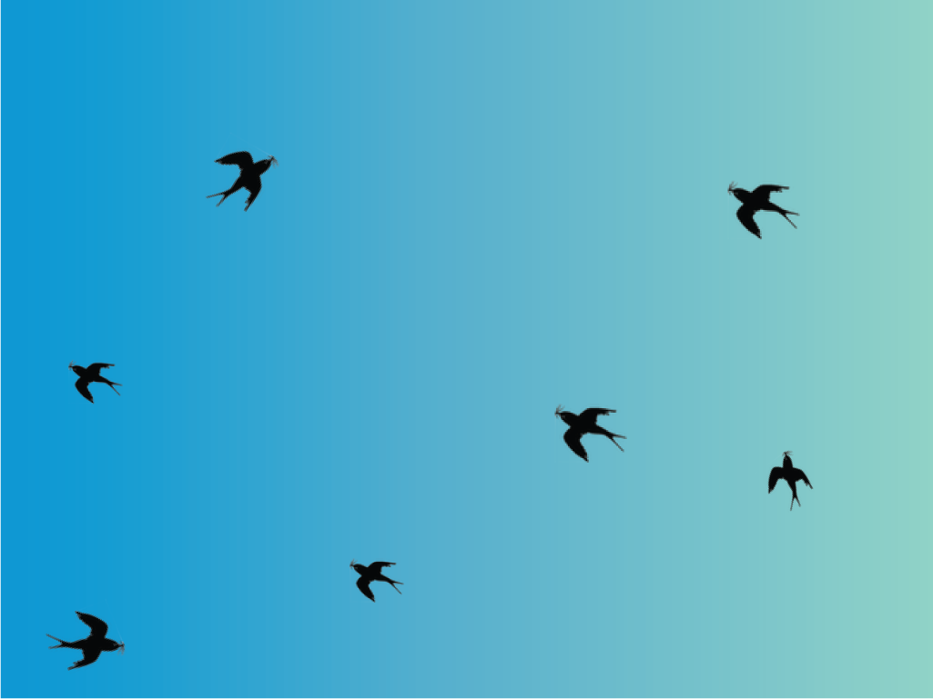 Background-3-35.png