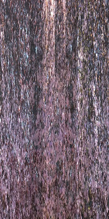 bloom5.jpg