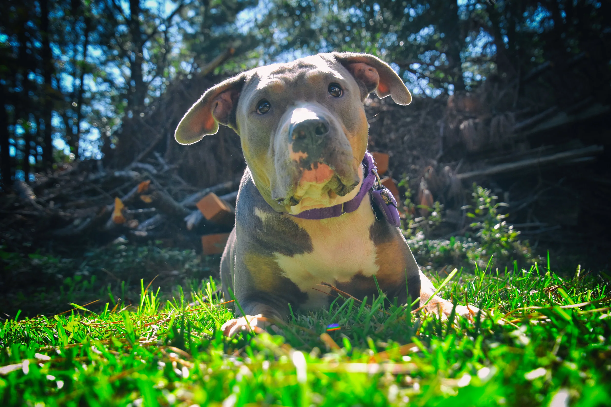 Sweet face