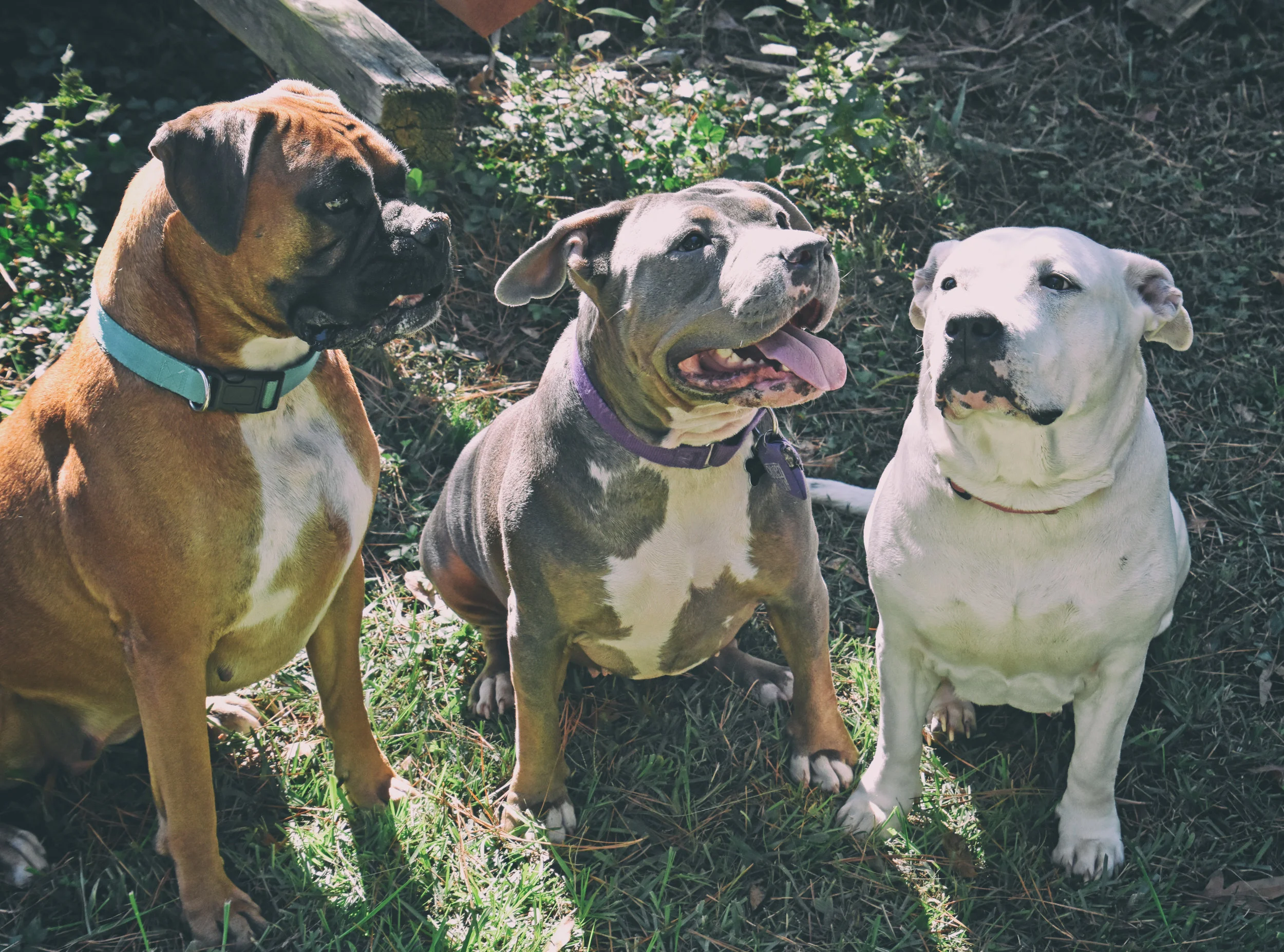 Squad Goals!