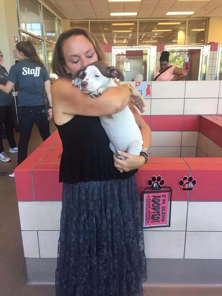 “I Do not want a puppy”, guess Lucy had other plans!