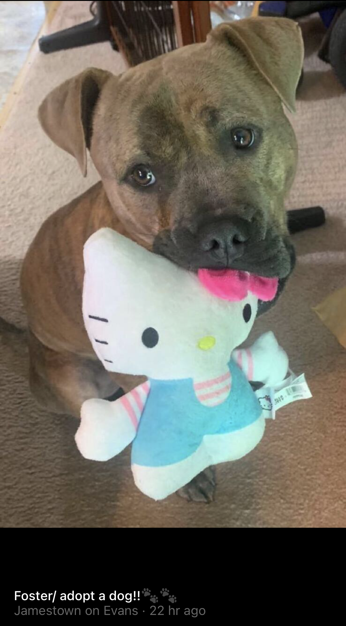I mean who could resist this face?