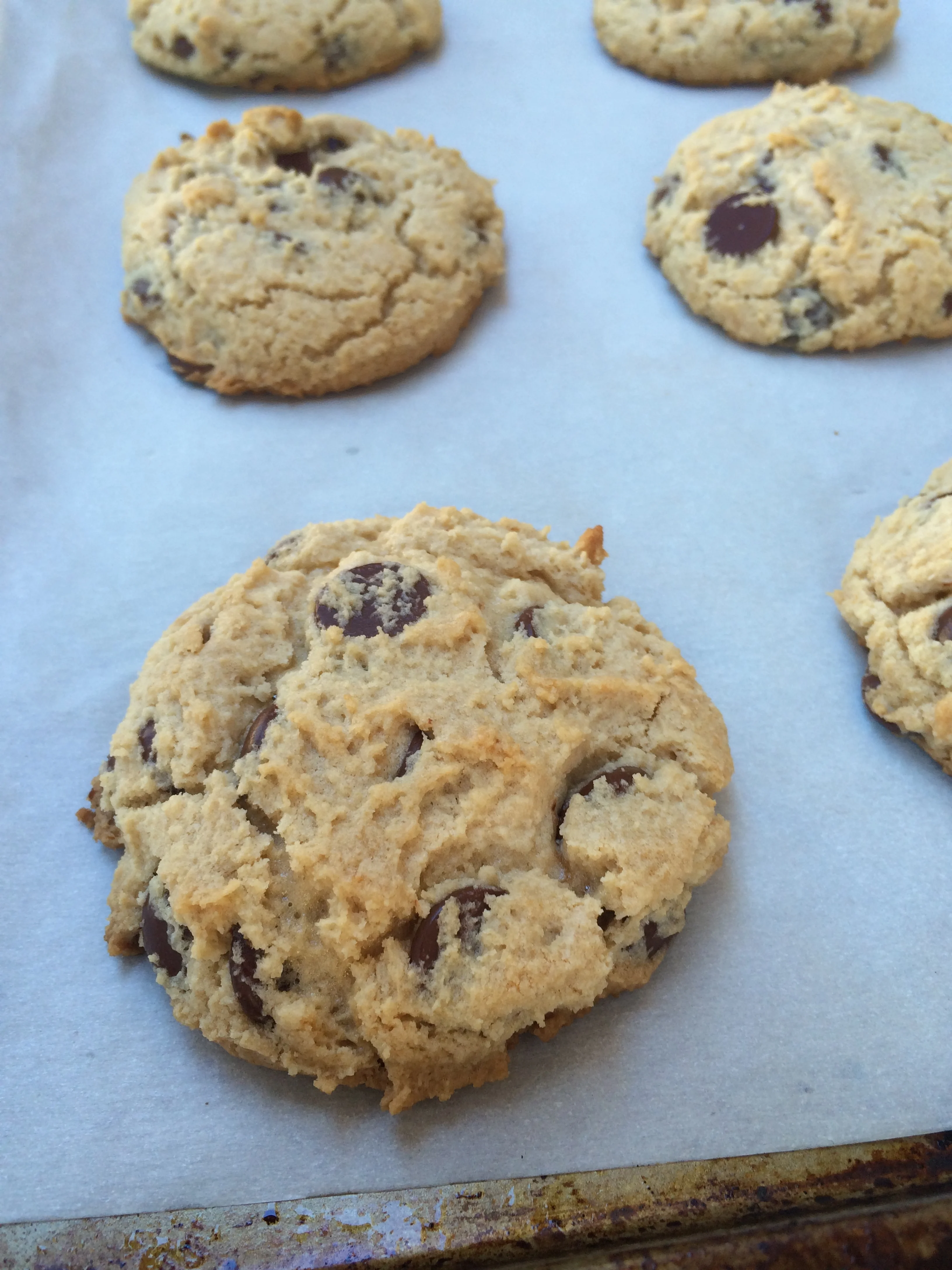 010 A NY Times Chocolate Chip Cookies.JPG