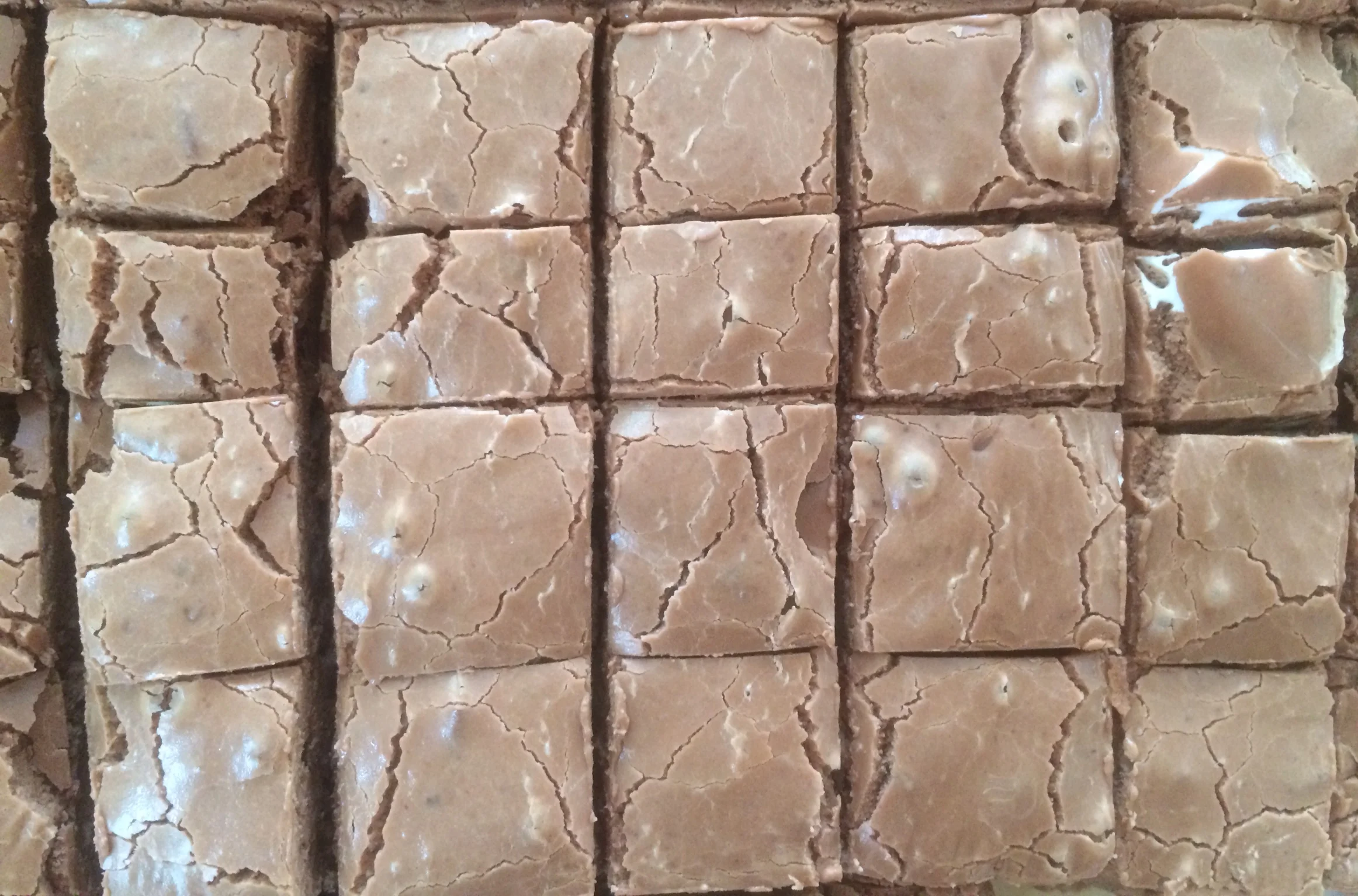109 A Chocolate Pecan Fudge.JPG