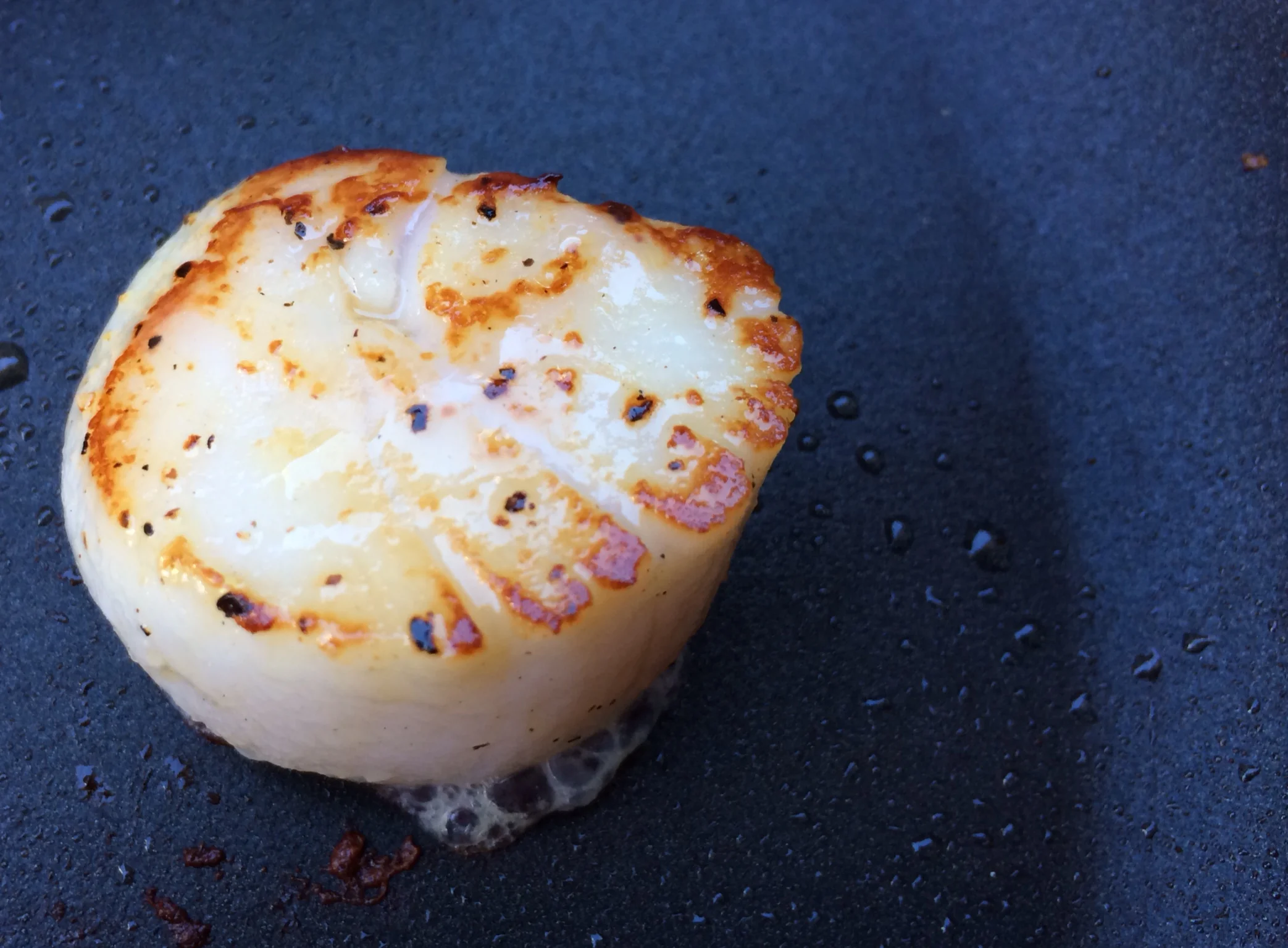 202 A Seared Scallops.JPG