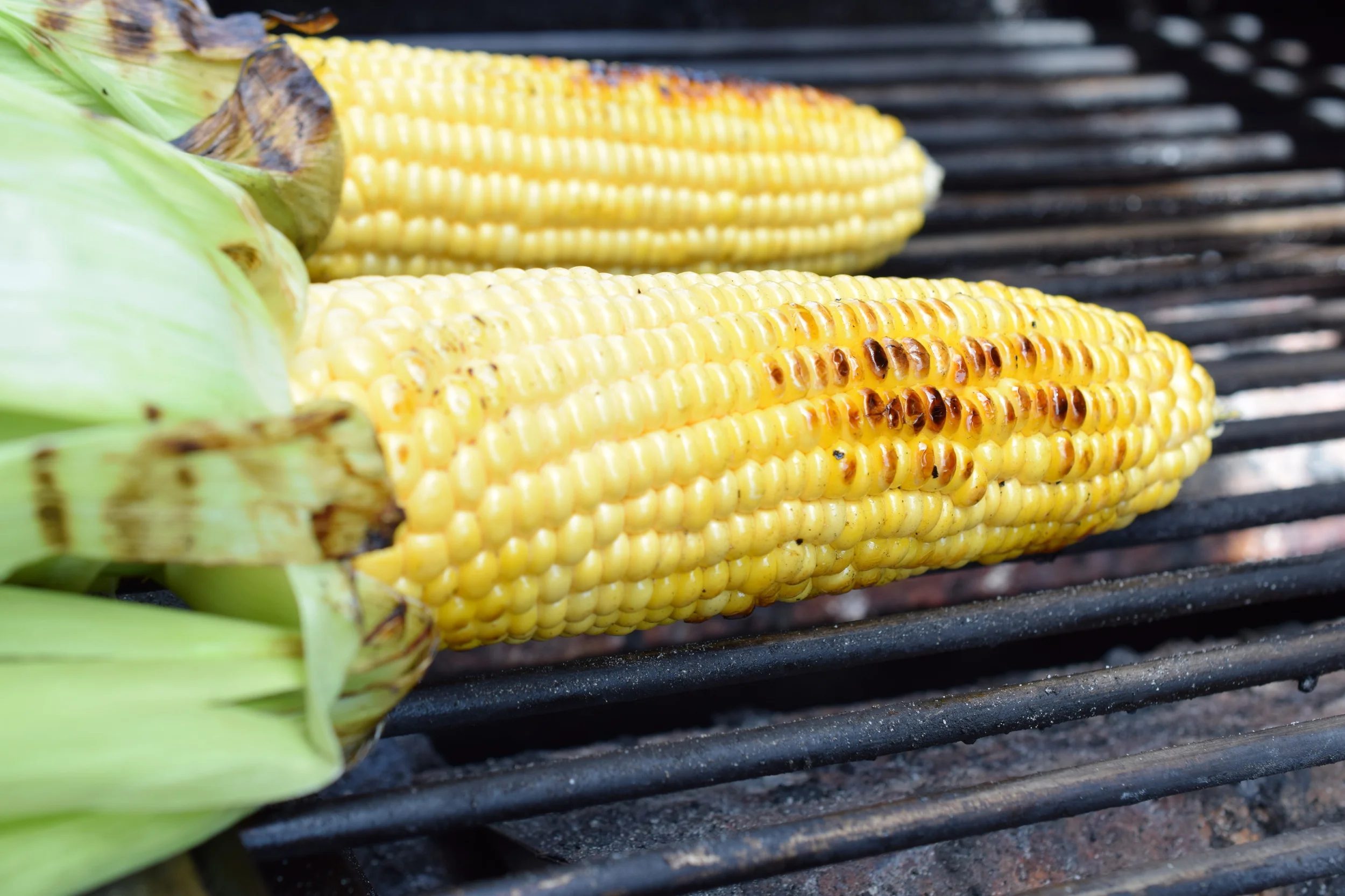 341 A Roasted Corn on the Cobb.JPG