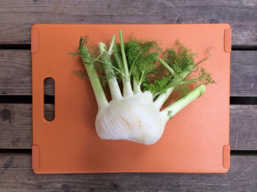 Fennel