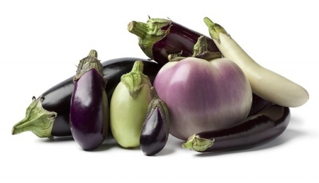 Photography: Nature & Nutrition