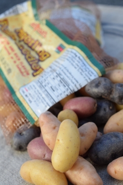 Fingerling Potato Medley, Melissa's Produce | Photo: Tiffany Lewis