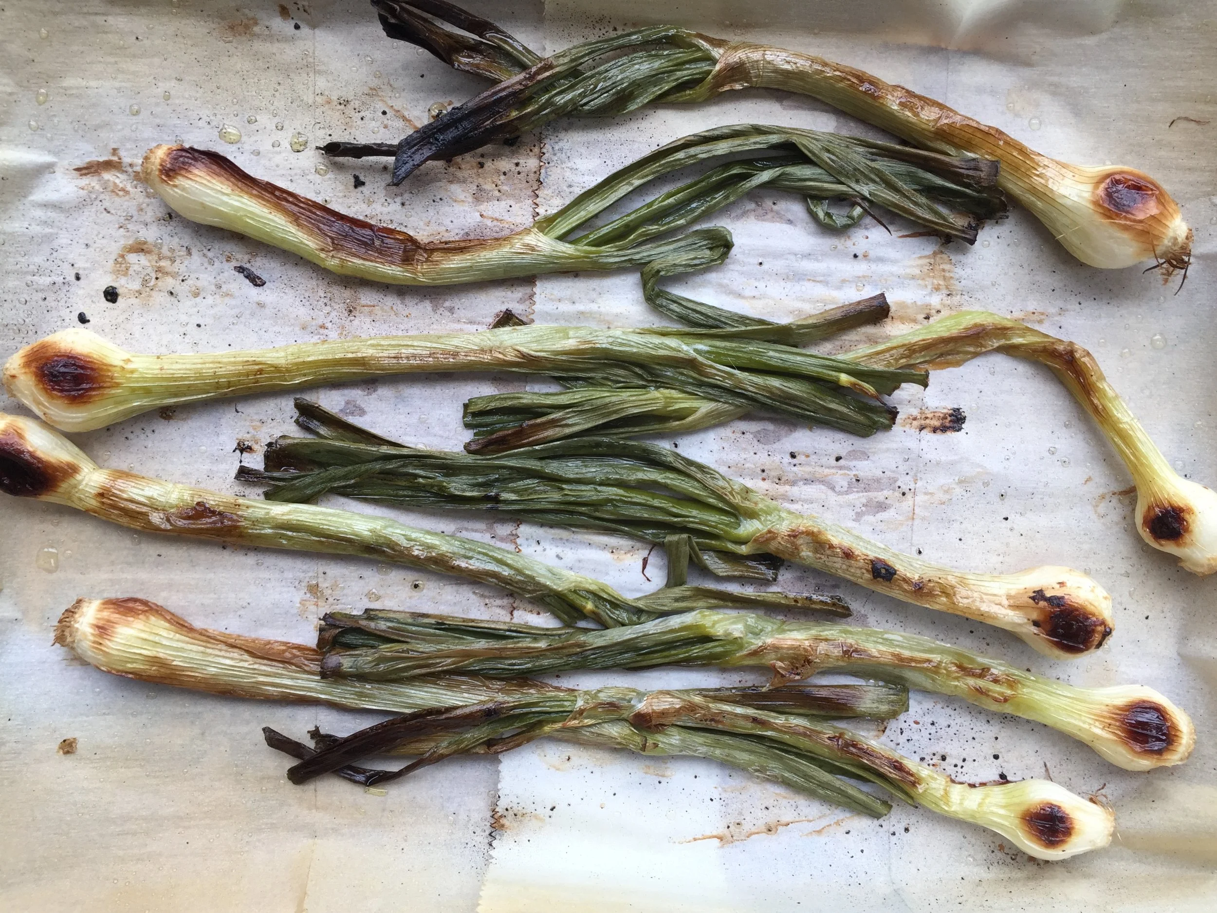 575 A Roasted Spring Onions .JPG