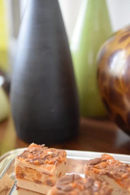 492 A Peanut Butterfinger Fudge.jpg