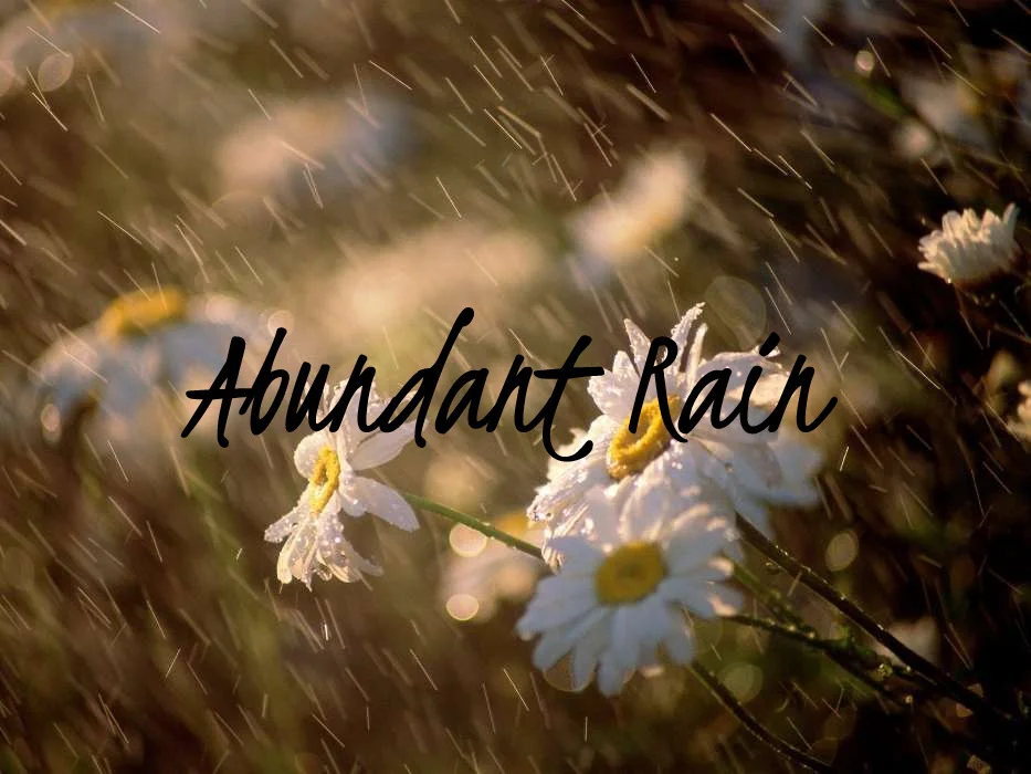 Abundant Rain - Adoption / Foster / Kinship Care Group