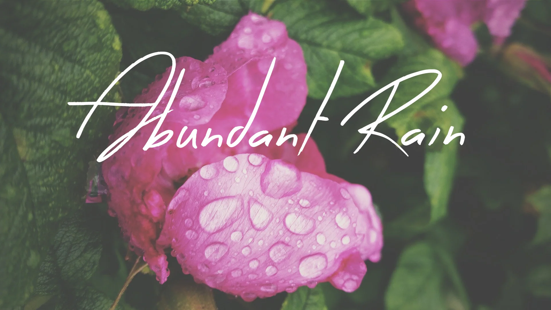 Abundant Rain - Adoption / Foster / Kinship Care Group