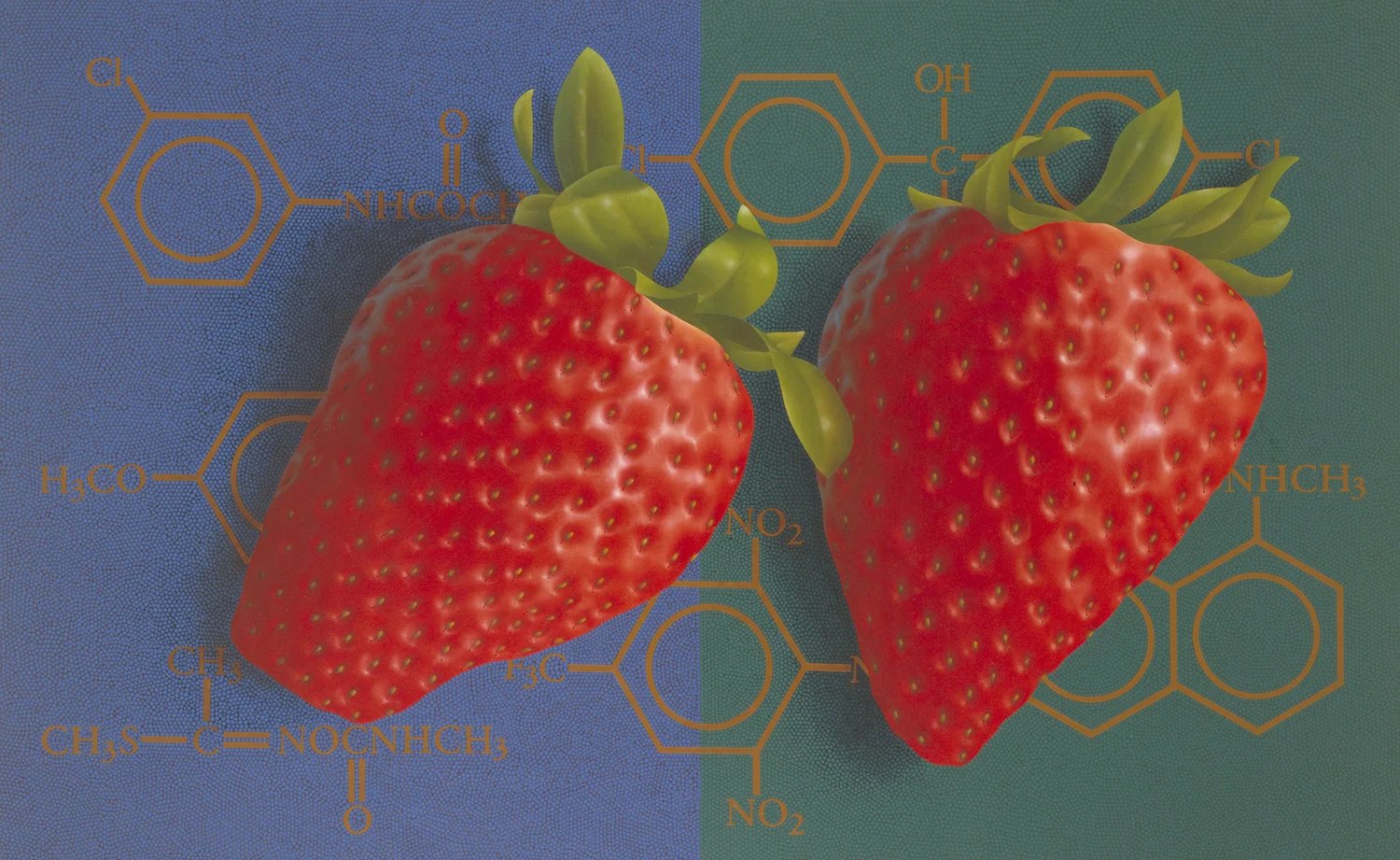 Altered Strawberries