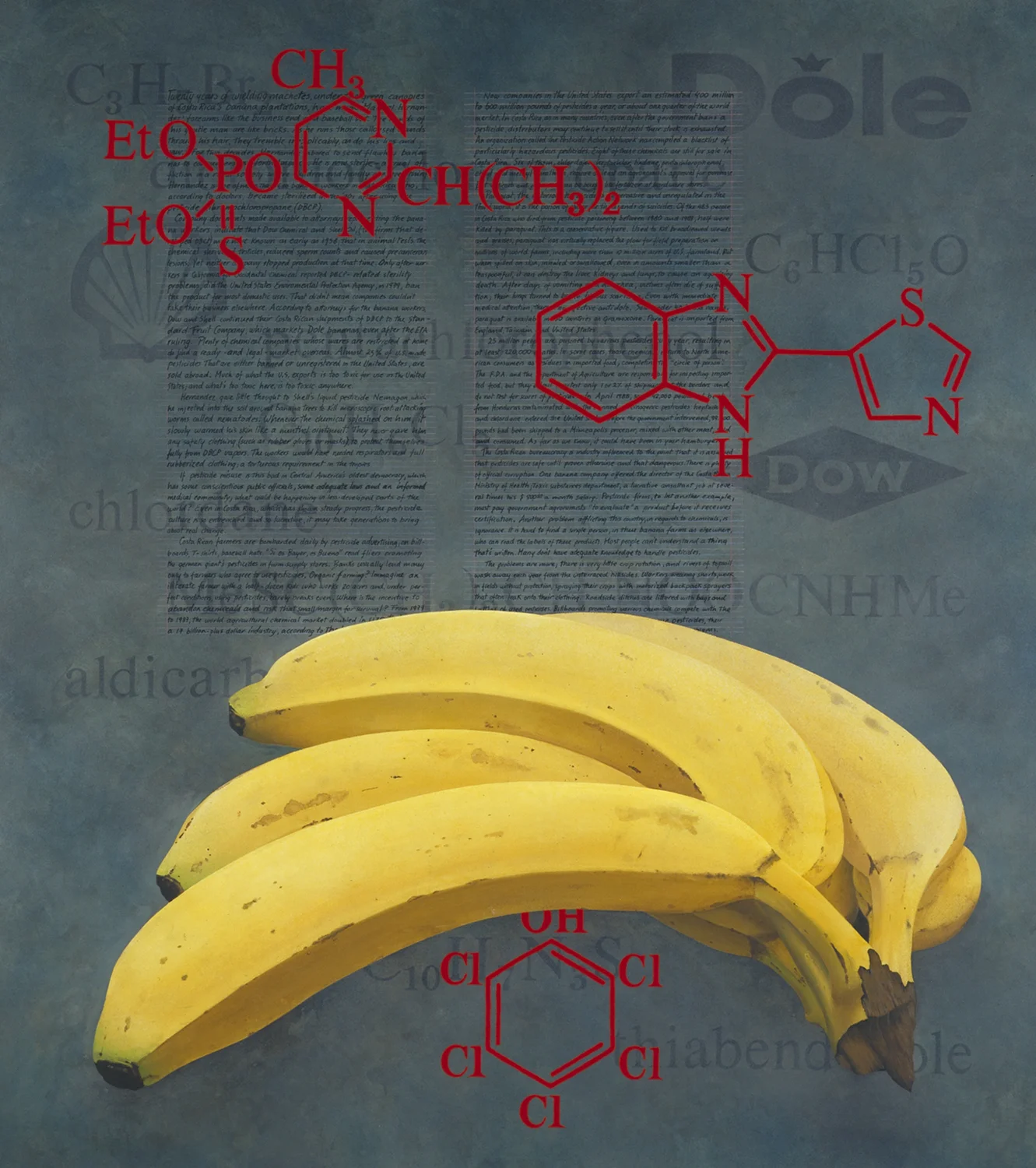 From The Banana Factory