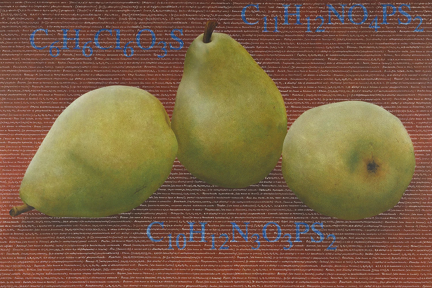 Manmade Pears
