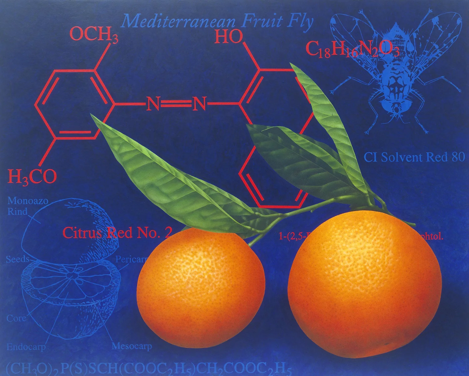 Troubled Oranges