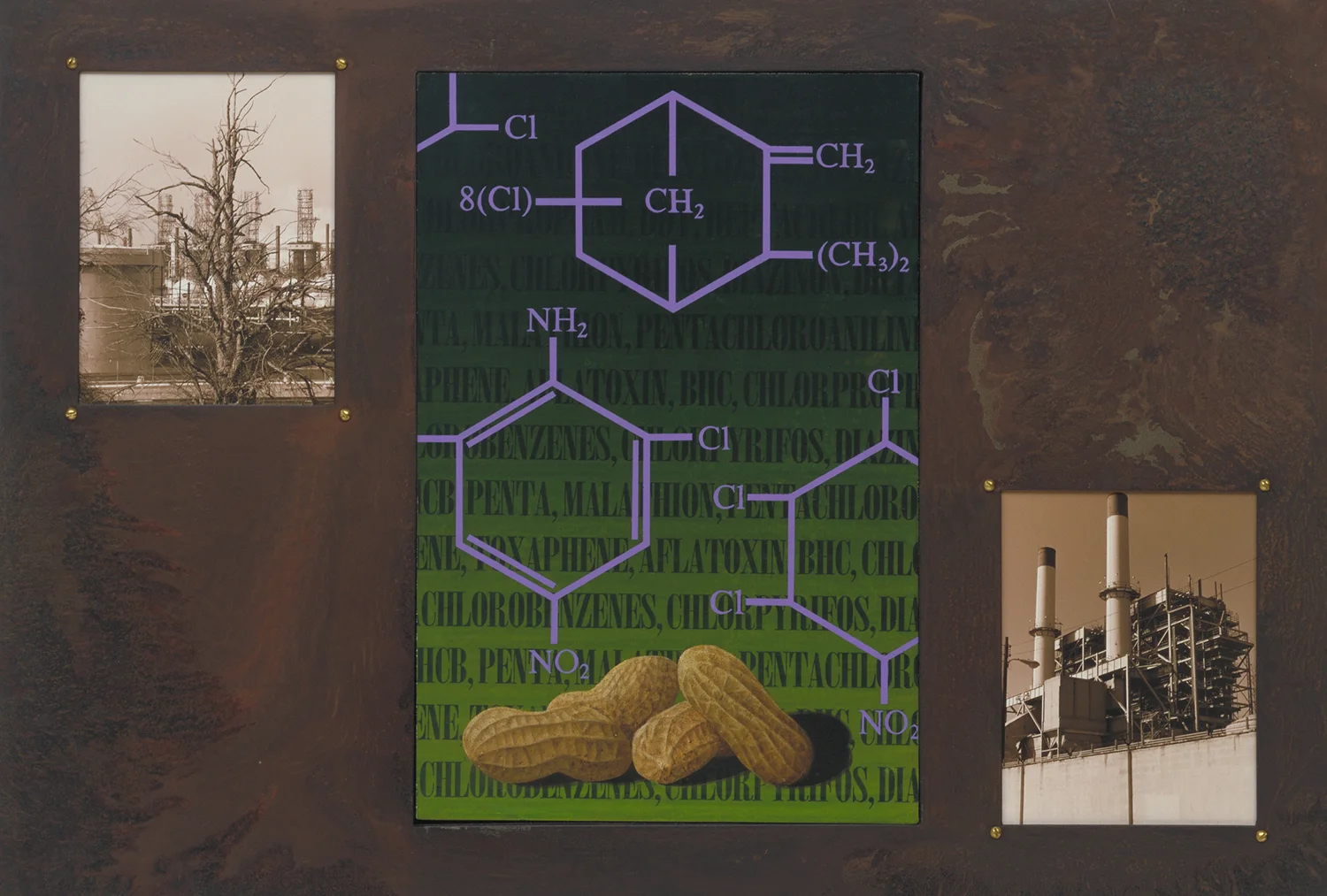 Toxaphene Peanuts