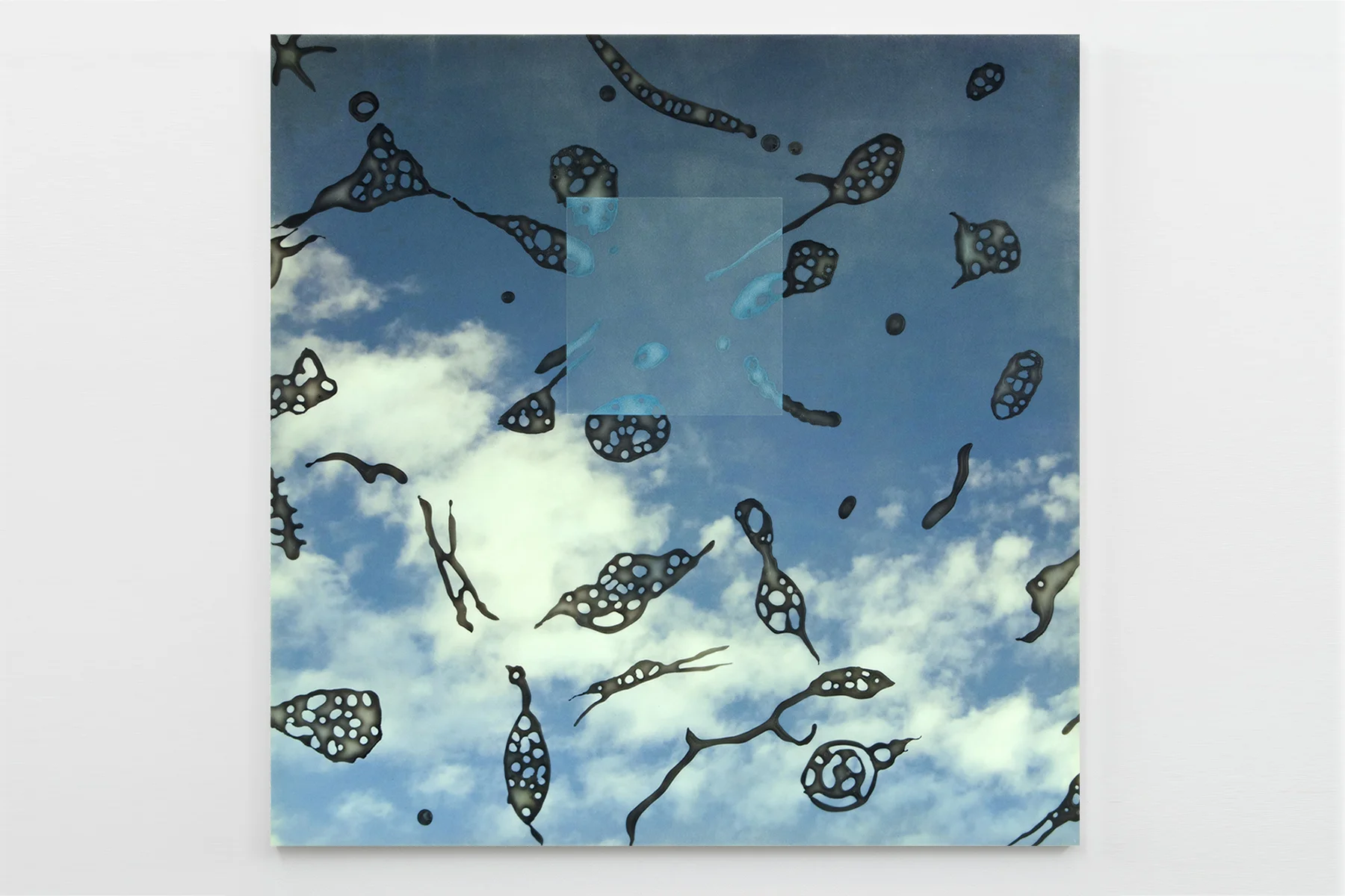 Floaters #2