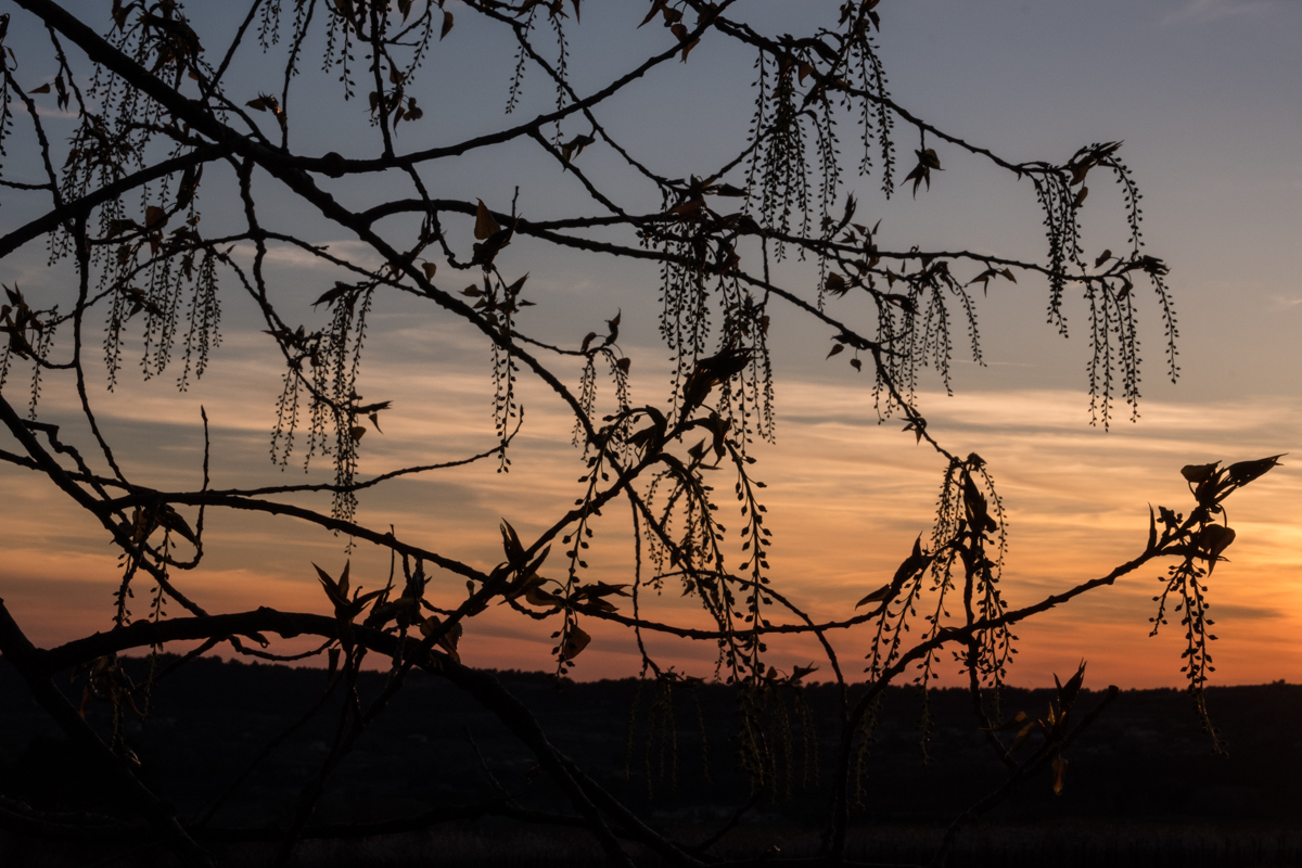 One of the first sunsets I experienced from the property I live on.