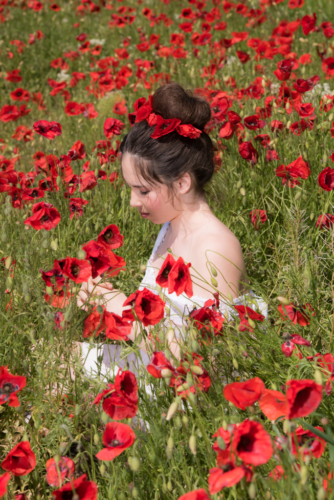 Chloe Poppies-1-2.jpg