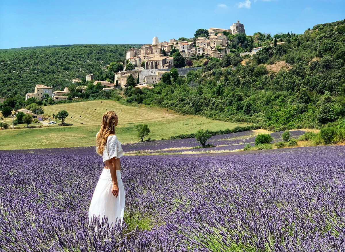 lavender tour-11.jpg