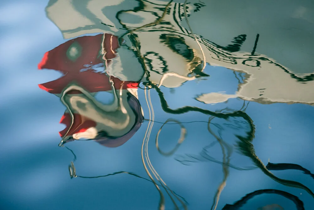 Reflections-5.jpg