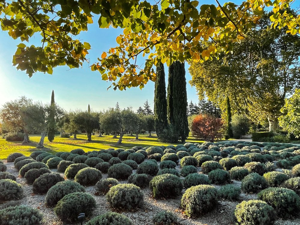 Domaine Clos St. Esteve 10-14-2021 @Raina Stinson-84.jpg