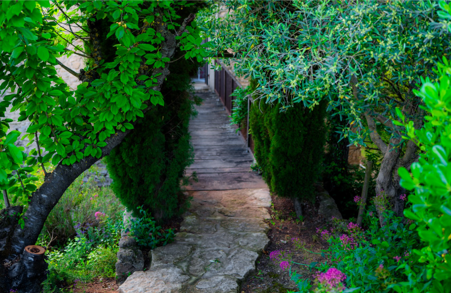 MSD_gallery-5-38.png (Copy)