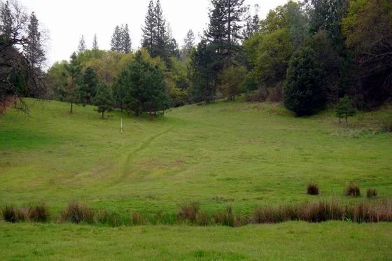 Photo from Trails West webpage.