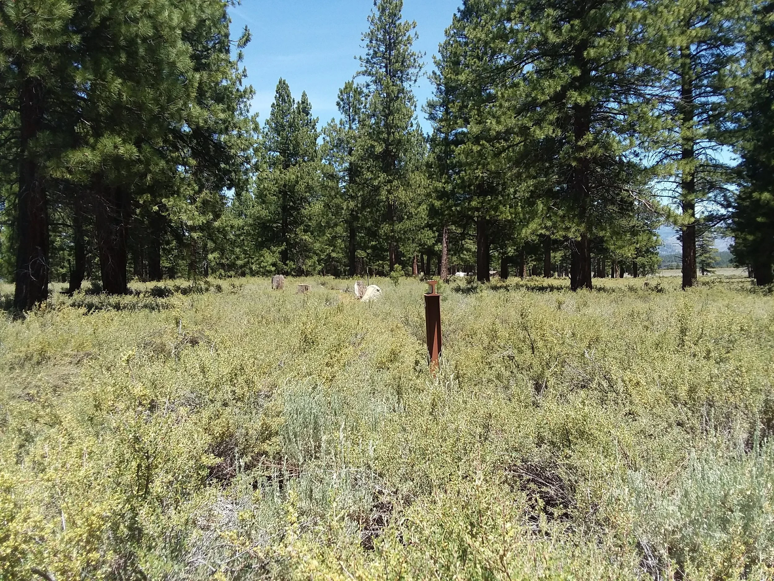 T-35 sits in the middle of the trail, headed straight towards the camera.