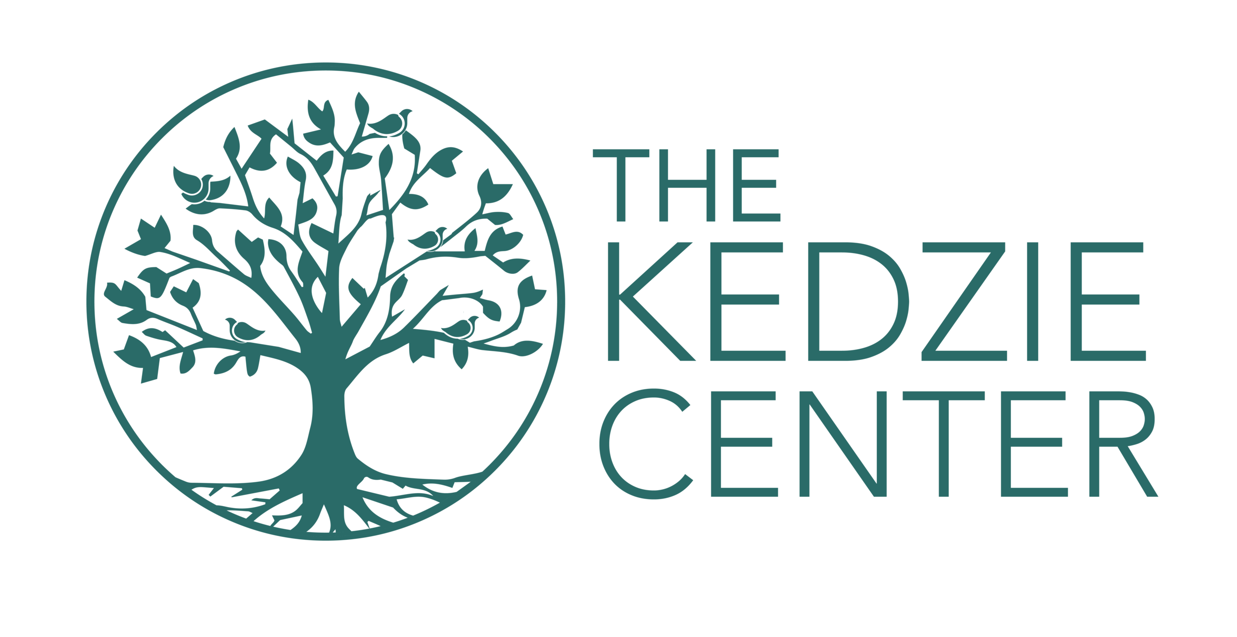 Careers — The Kedzie Center