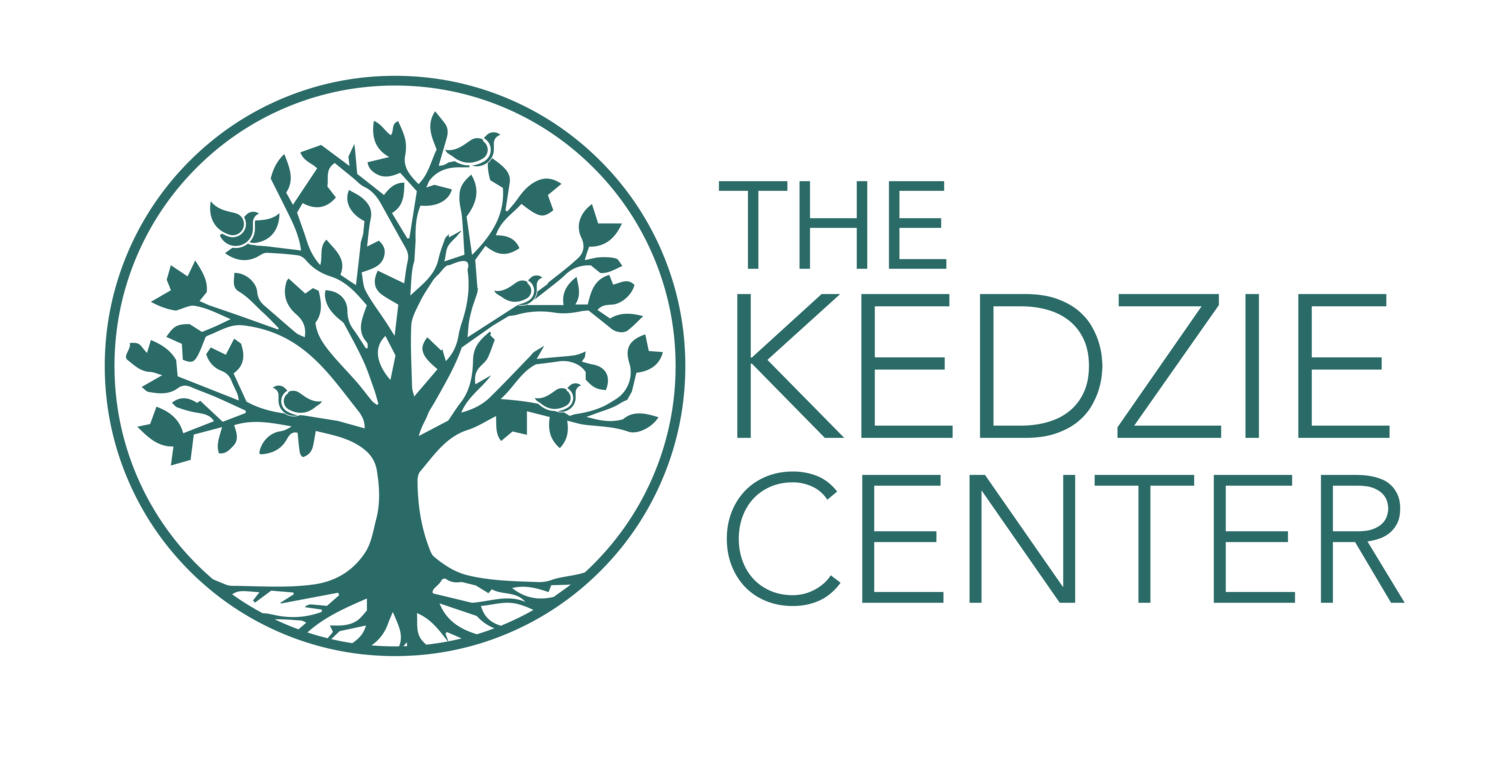 The Kedzie Center