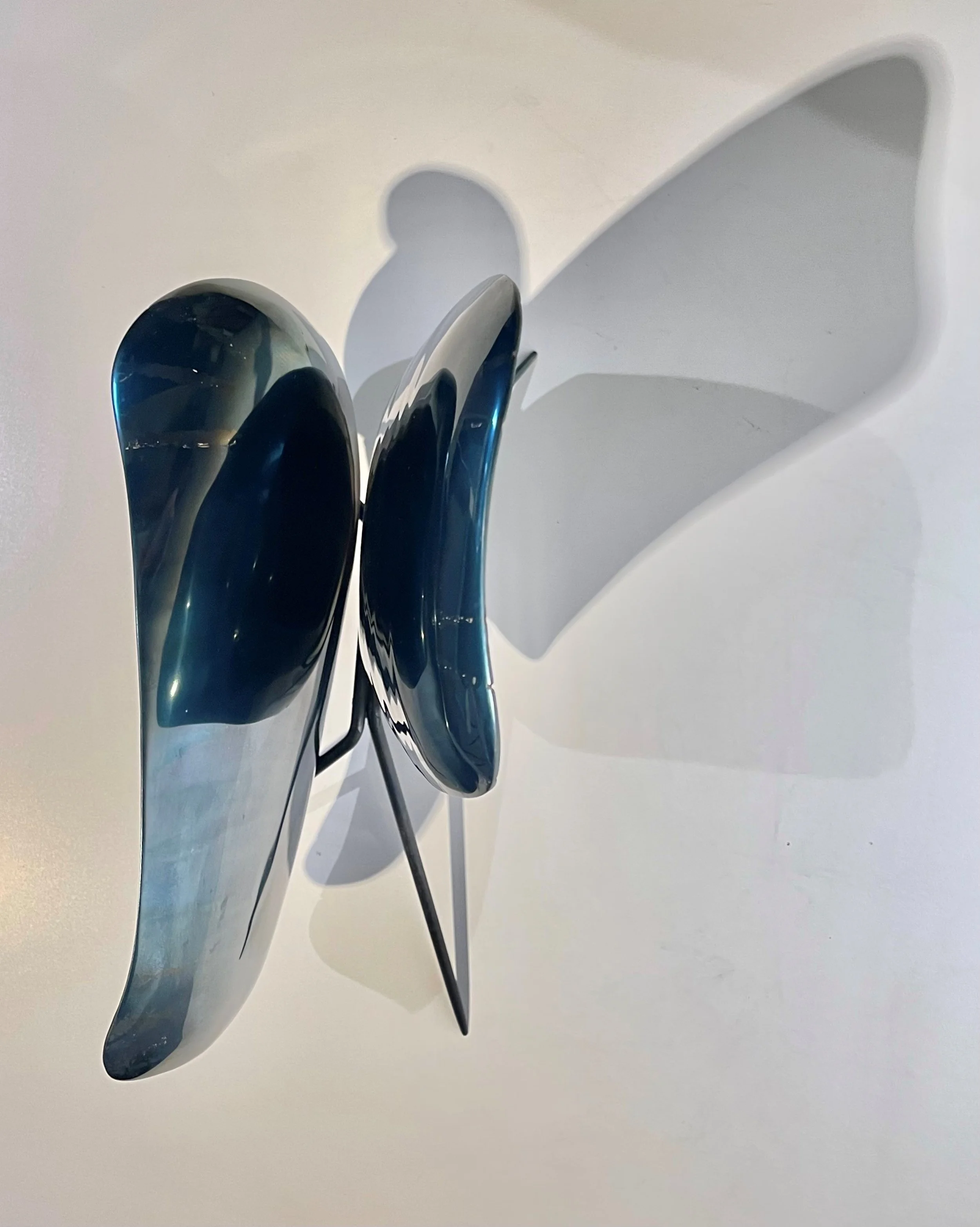 Blue Moth (from above)