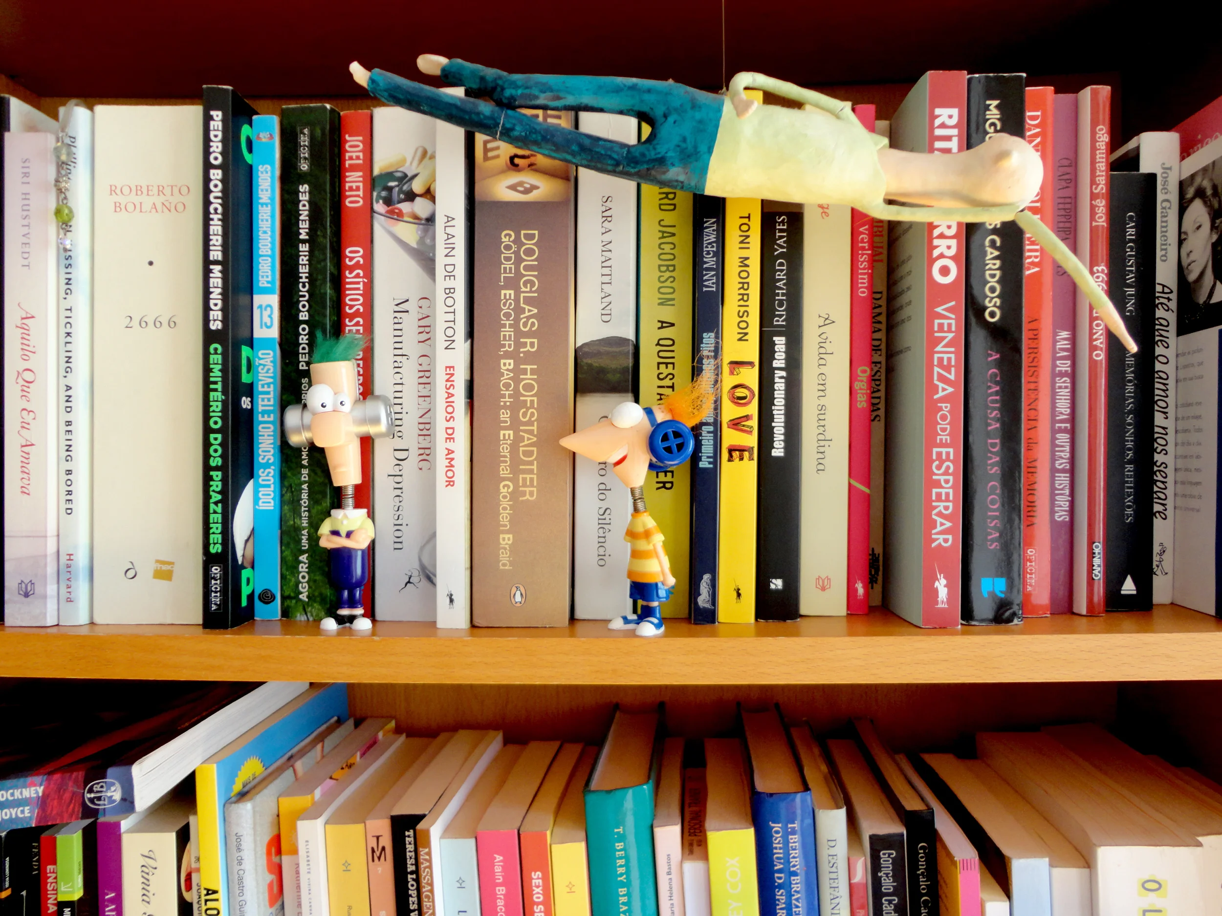 os livros e os bonecos são uma constante